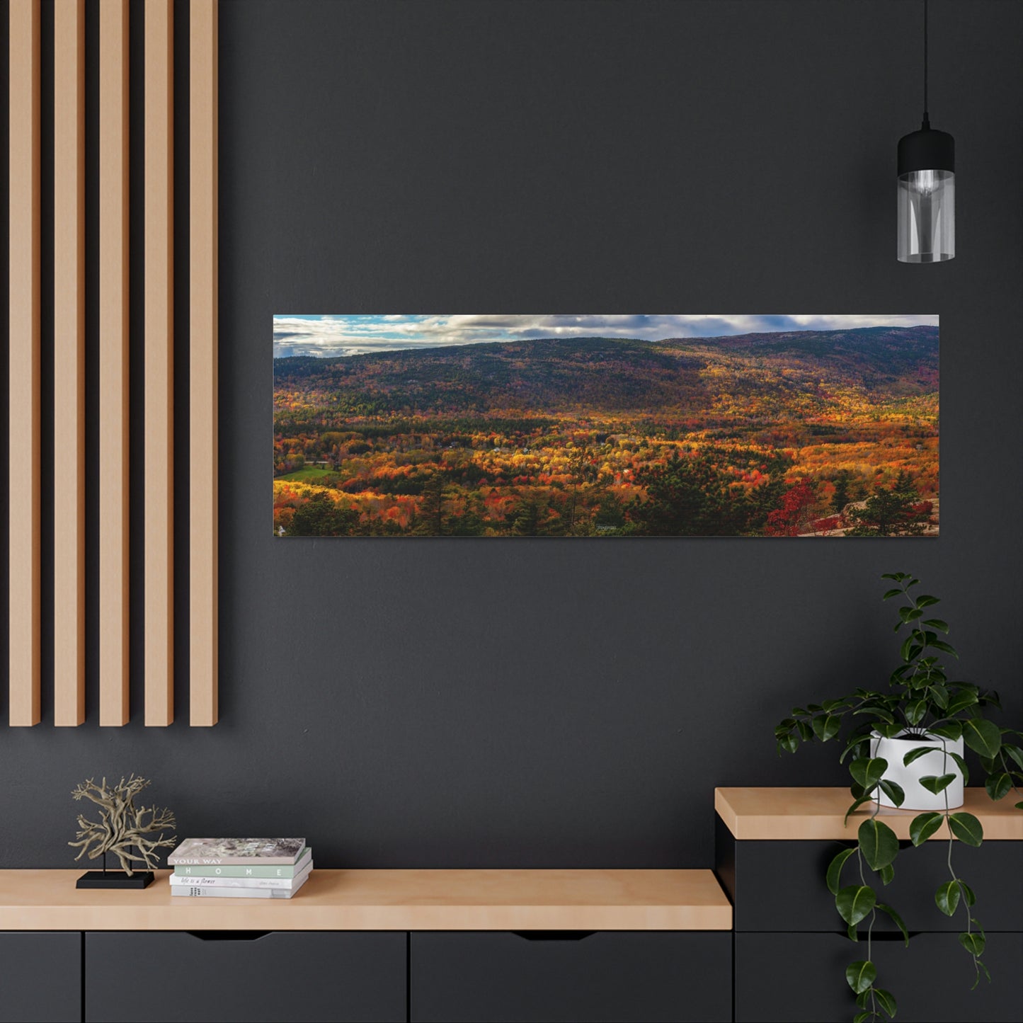 Acadia National Park: Fall Leaves - Canvas