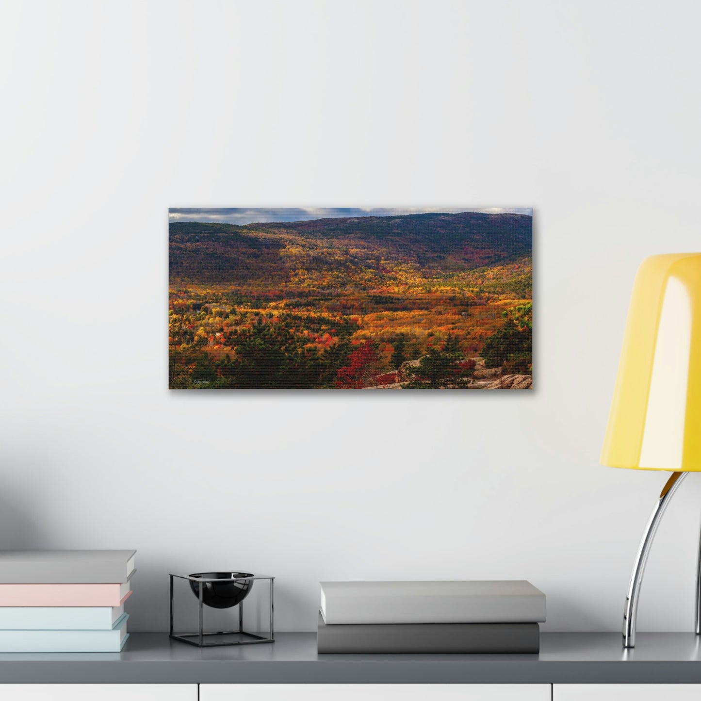 Acadia National Park: Fall Leaves - Canvas
