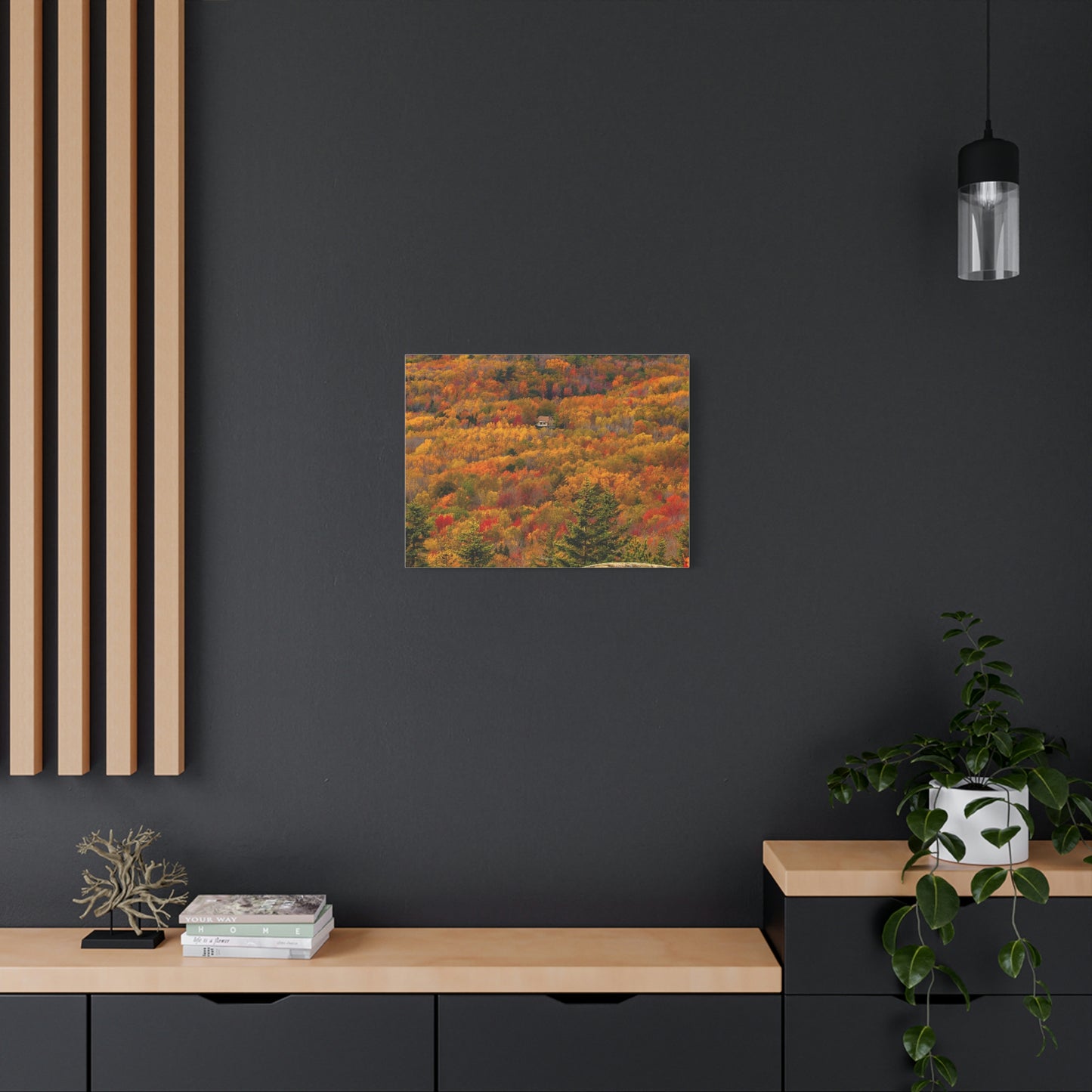 Fall in Acadia National Park - Matte Canvas