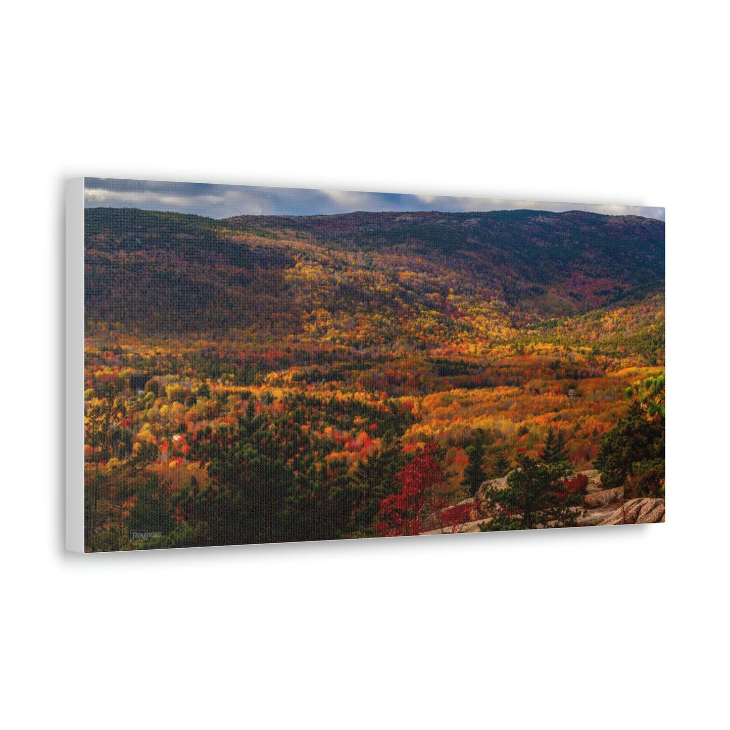 Acadia National Park: Fall Leaves - Canvas