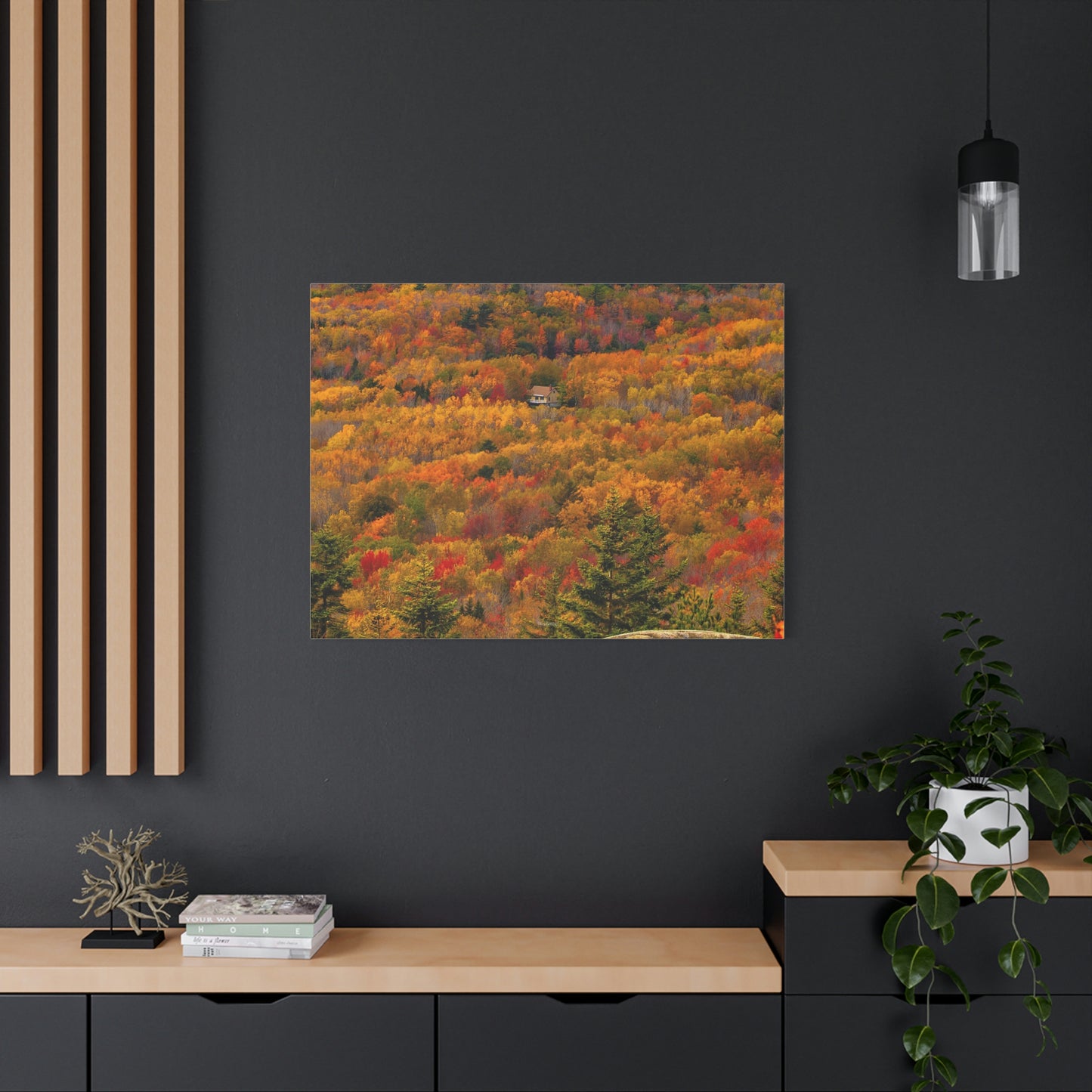 Fall in Acadia National Park - Matte Canvas
