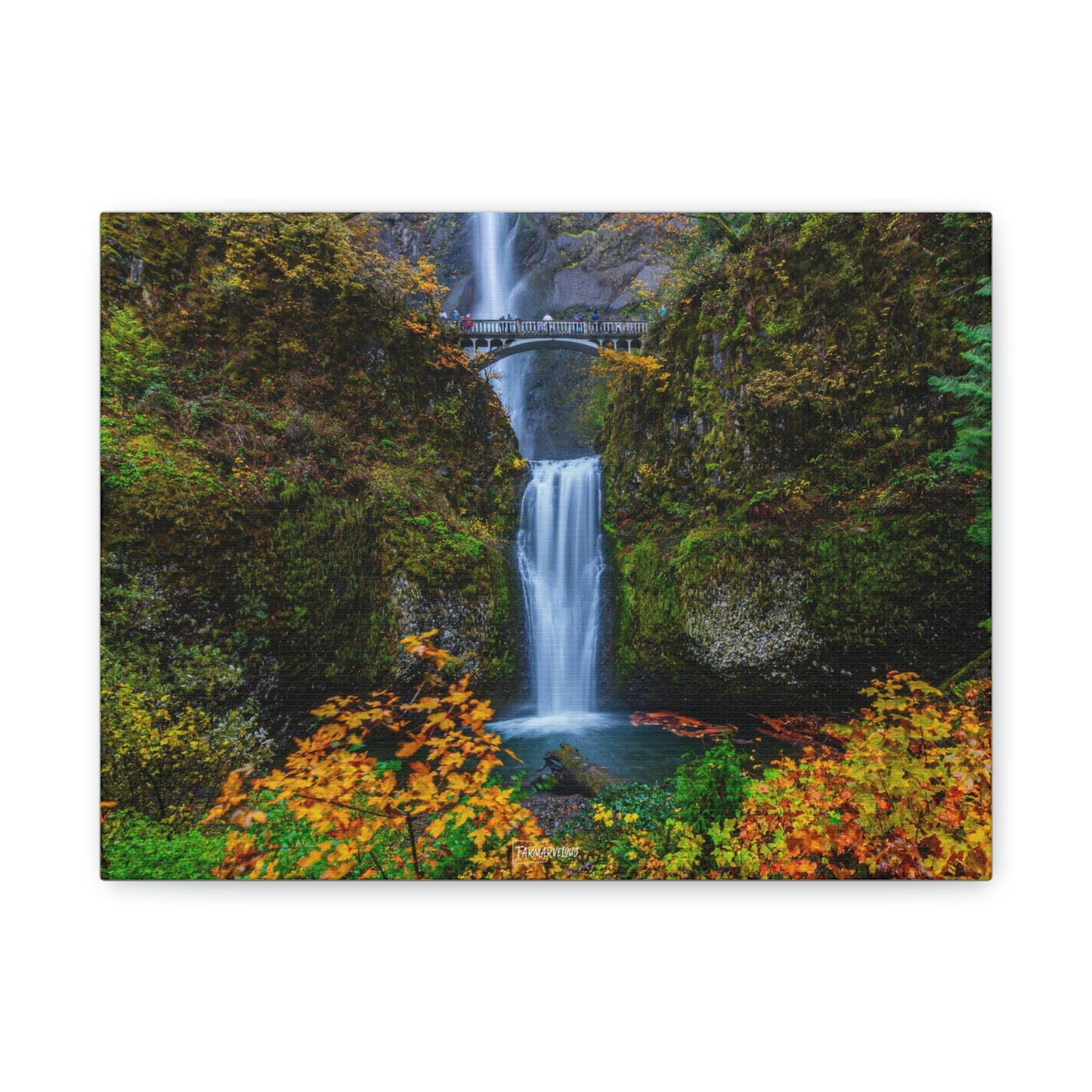 Multnomah Falls, Oregon - Matte Canvas