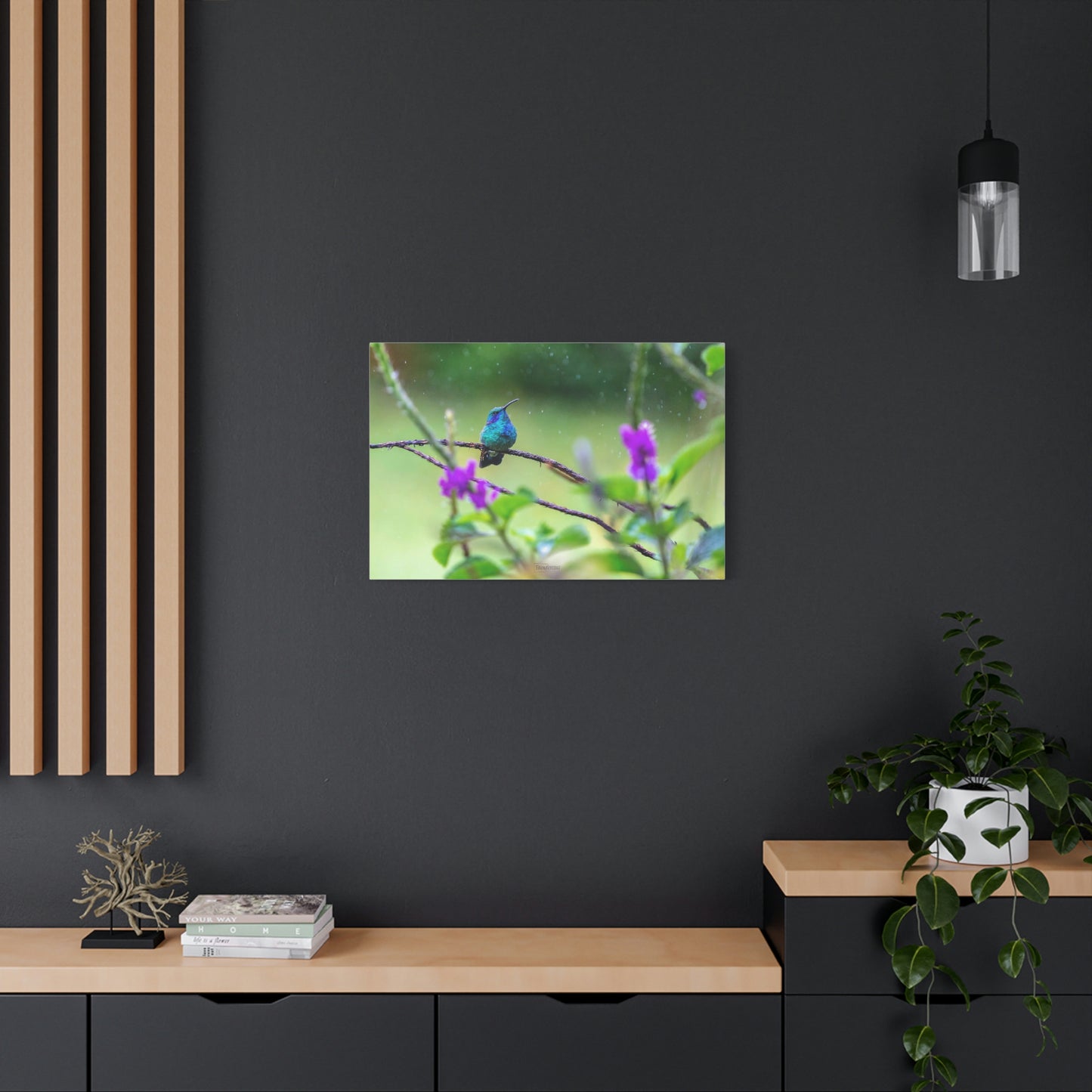Costa Rican Hummingbird in the rain - Matte Canvas, Stretched, 1.25"