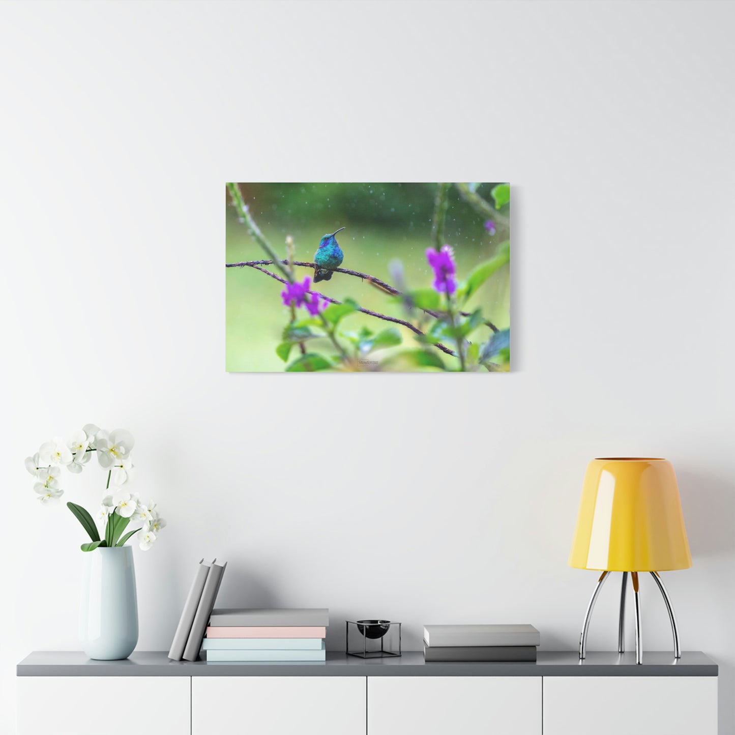 Costa Rican Hummingbird in the rain - Matte Canvas, Stretched, 1.25"