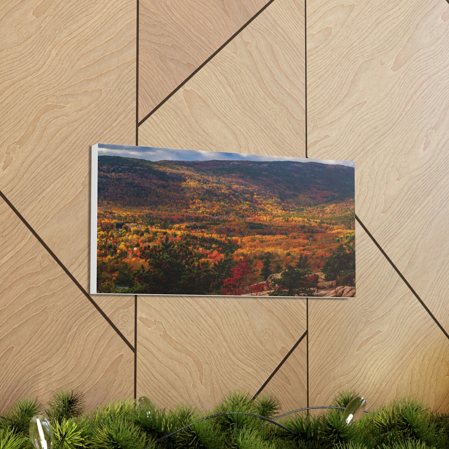 Acadia National Park: Fall Leaves - Canvas