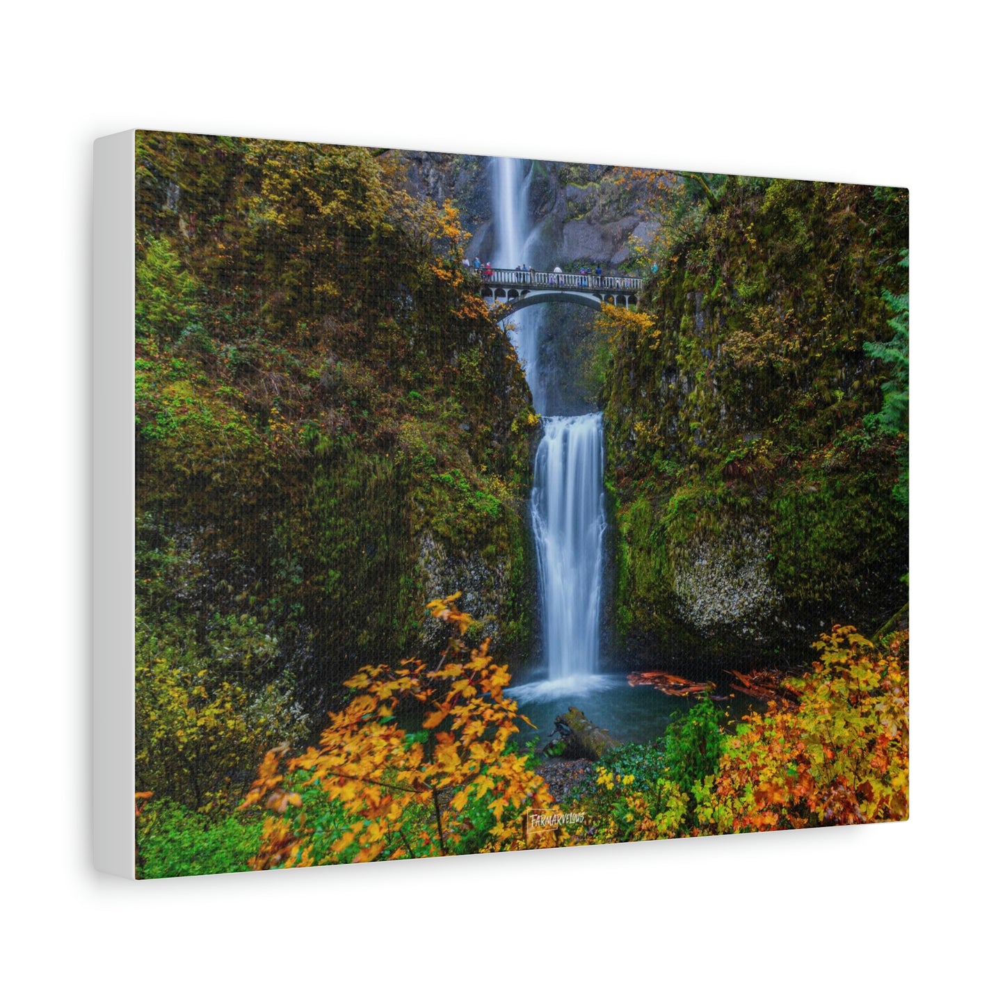 Multnomah Falls, Oregon - Matte Canvas