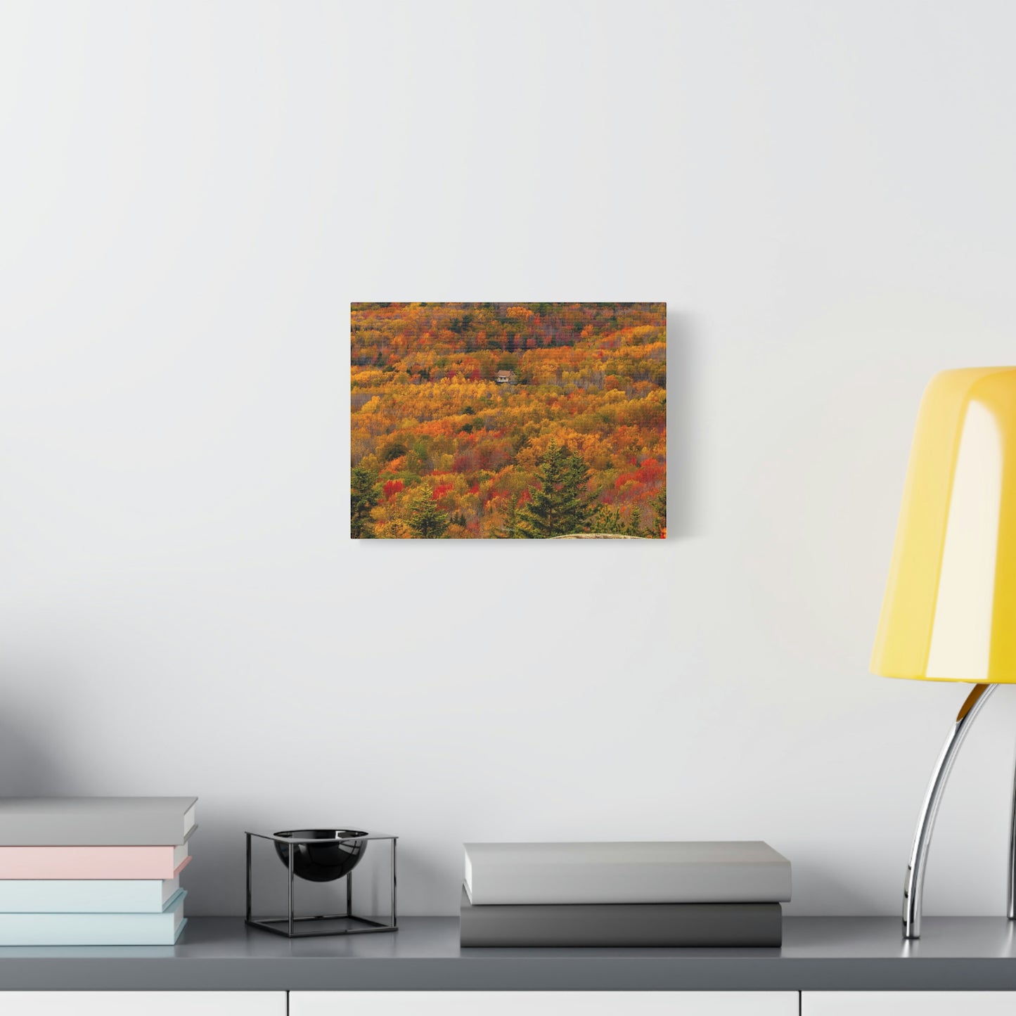 Fall in Acadia National Park - Matte Canvas
