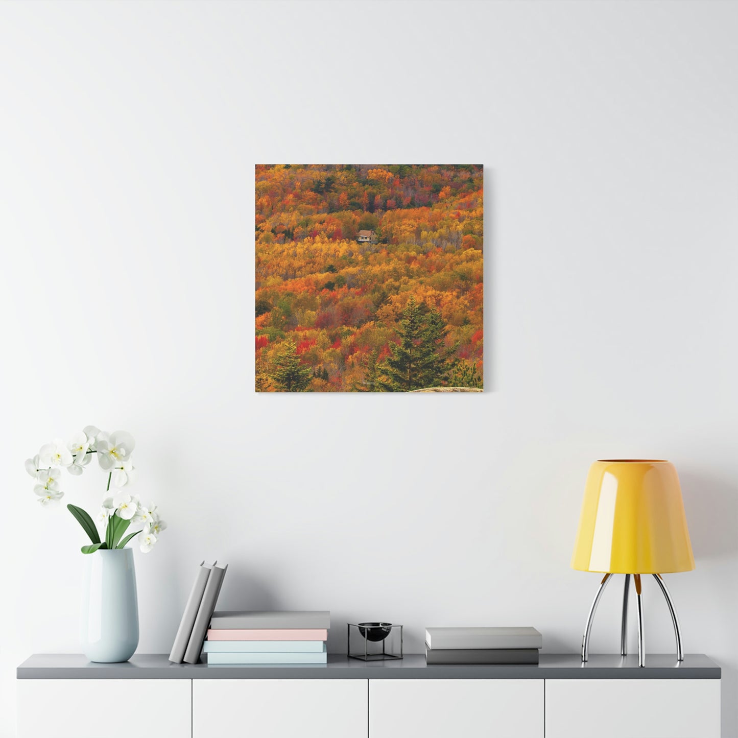 Fall in Acadia National Park - Matte Canvas