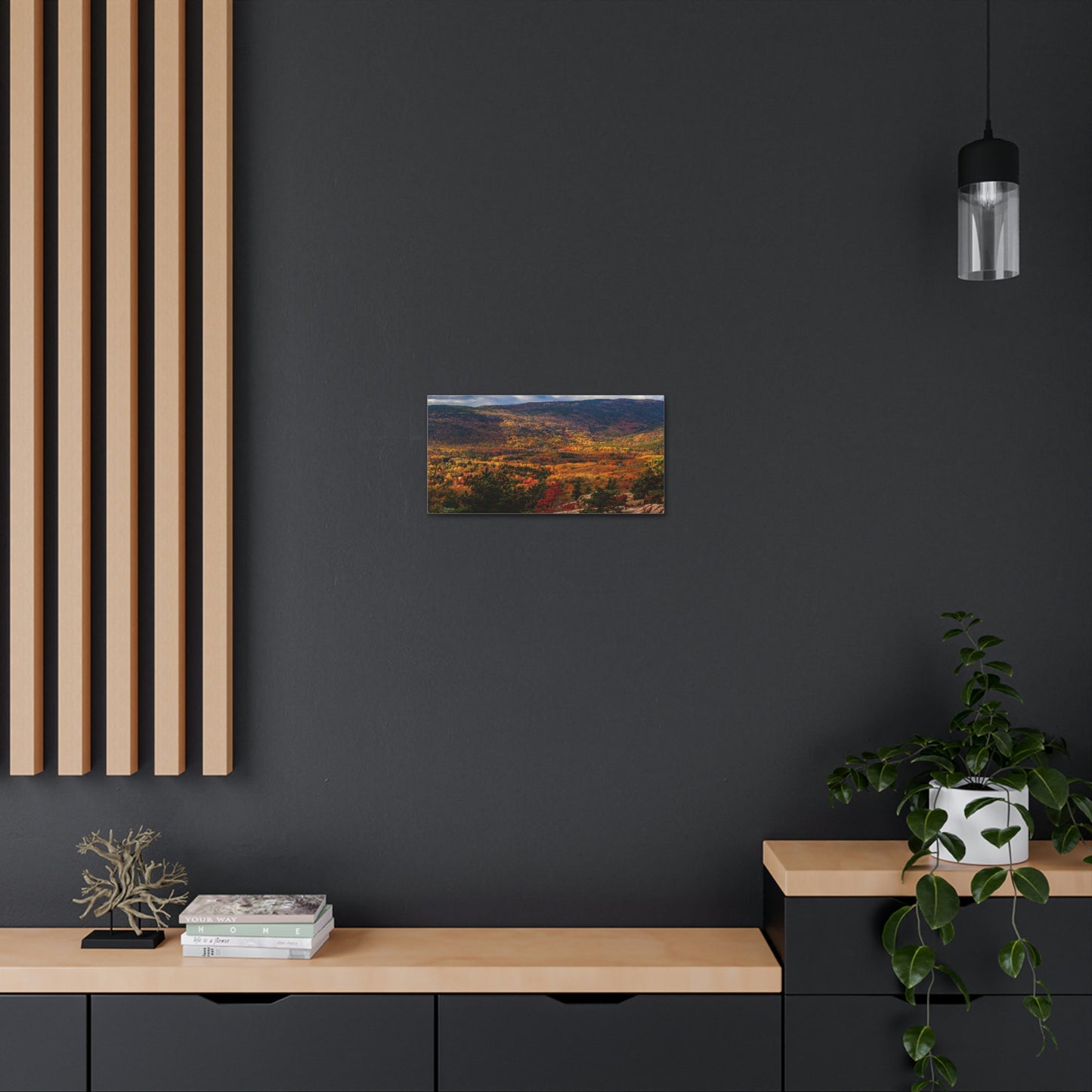 Acadia National Park: Fall Leaves - Canvas
