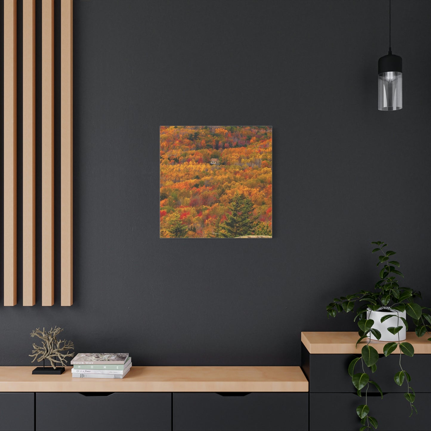 Fall in Acadia National Park - Matte Canvas