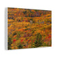 Fall in Acadia National Park - Matte Canvas