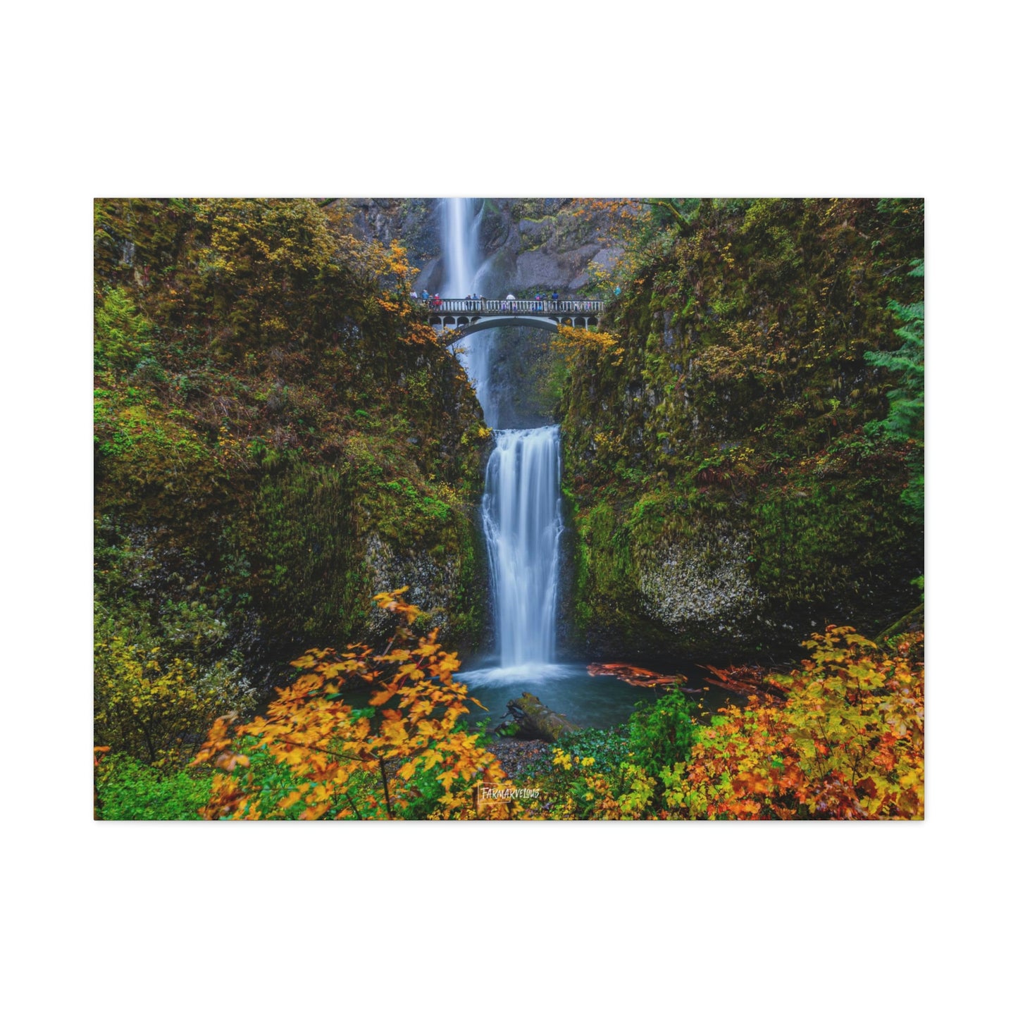 Multnomah Falls, Oregon - Matte Canvas