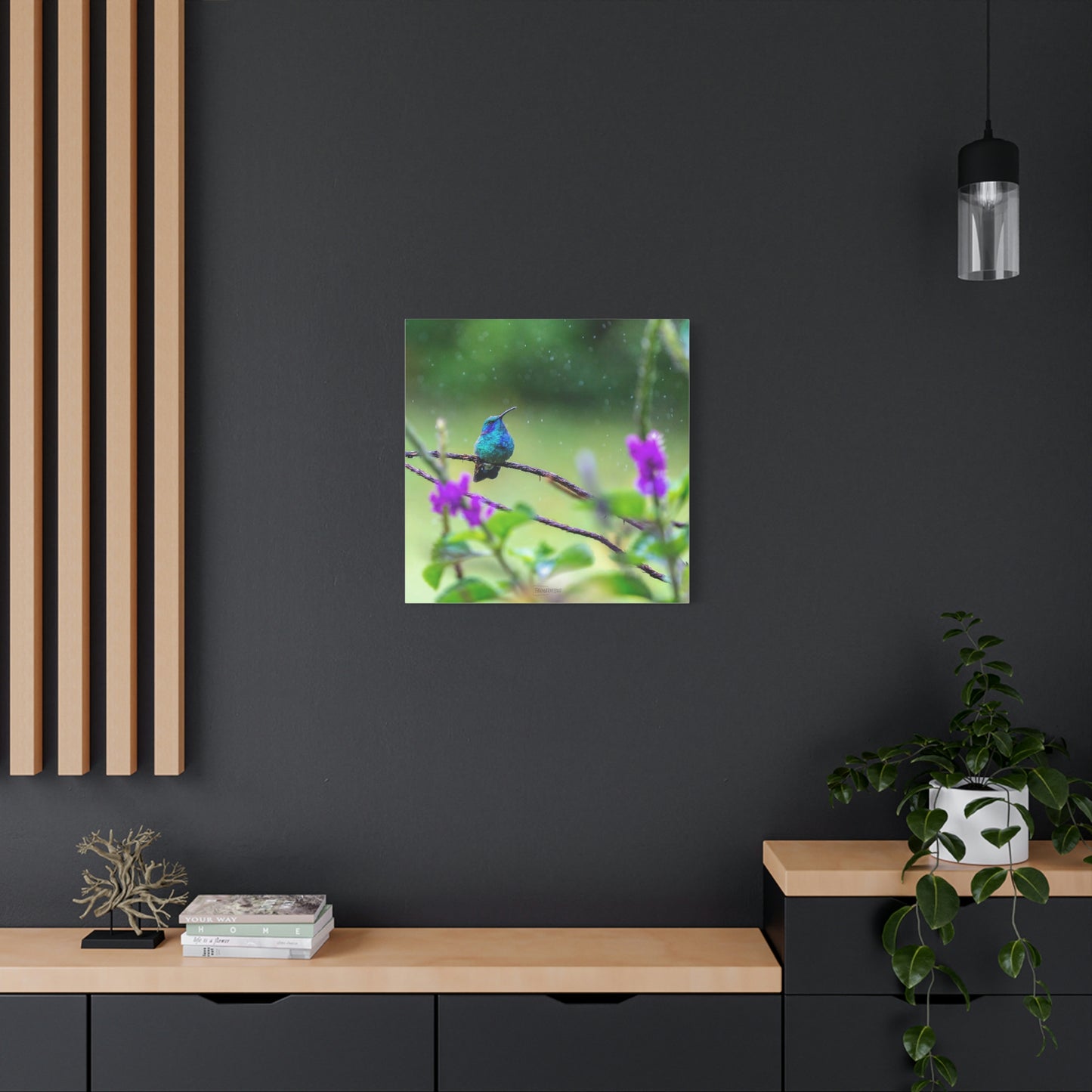 Costa Rican Hummingbird in the rain - Matte Canvas, Stretched, 1.25"