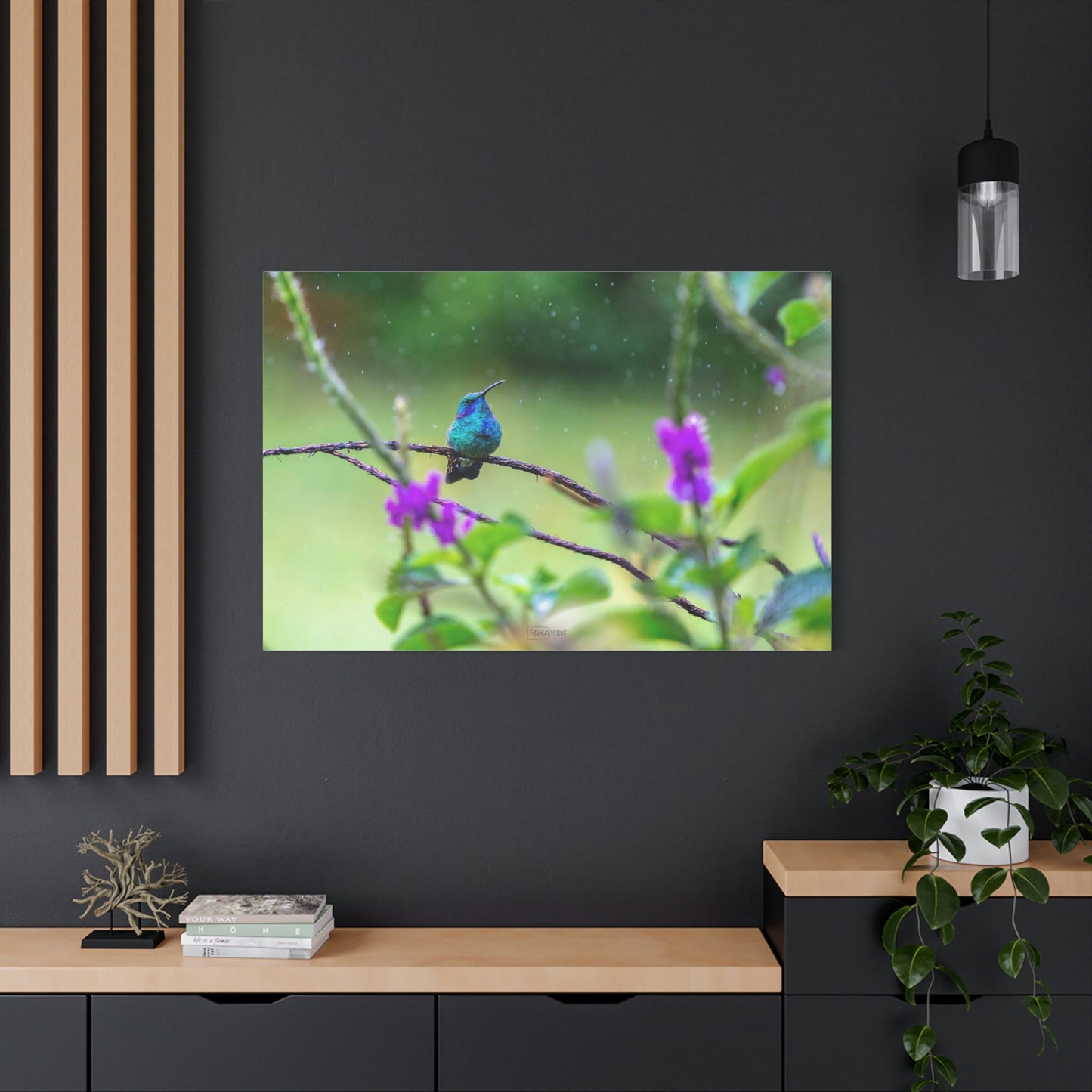 Costa Rican Hummingbird in the rain - Matte Canvas, Stretched, 1.25"