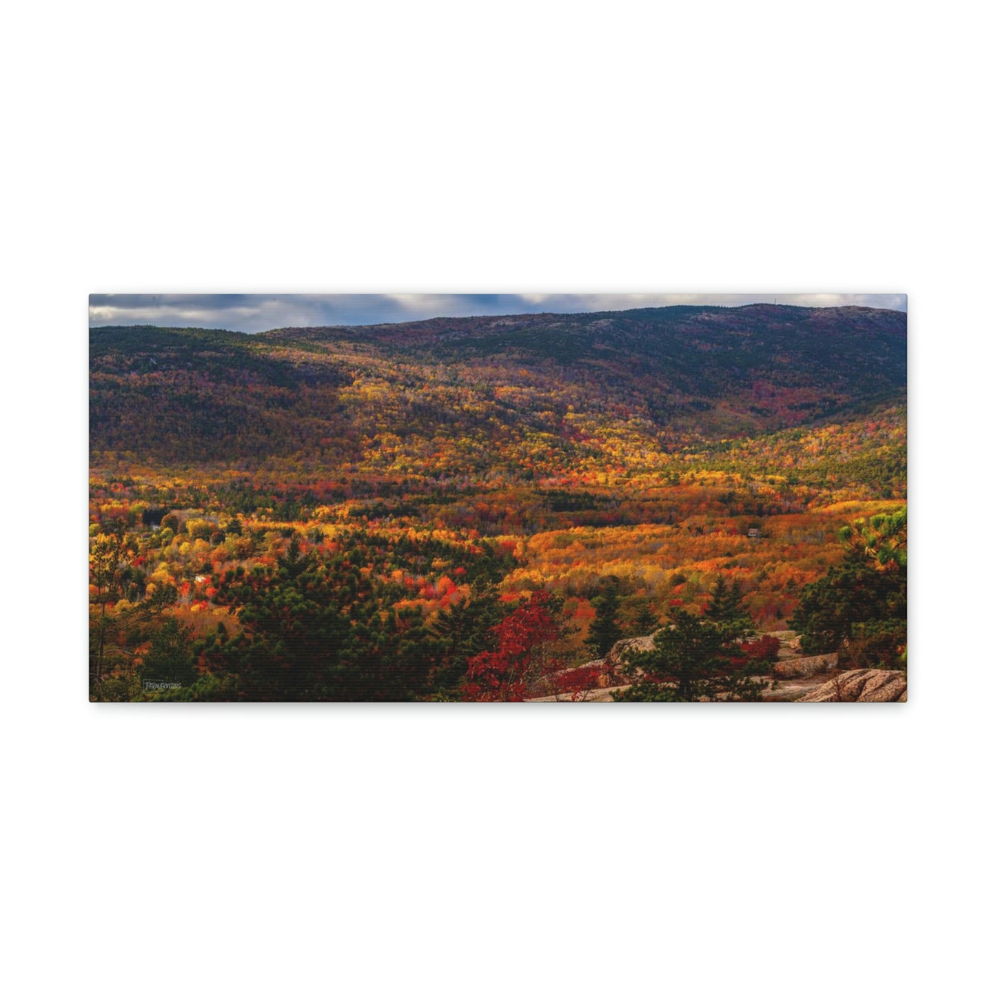 Acadia National Park: Fall Leaves - Canvas