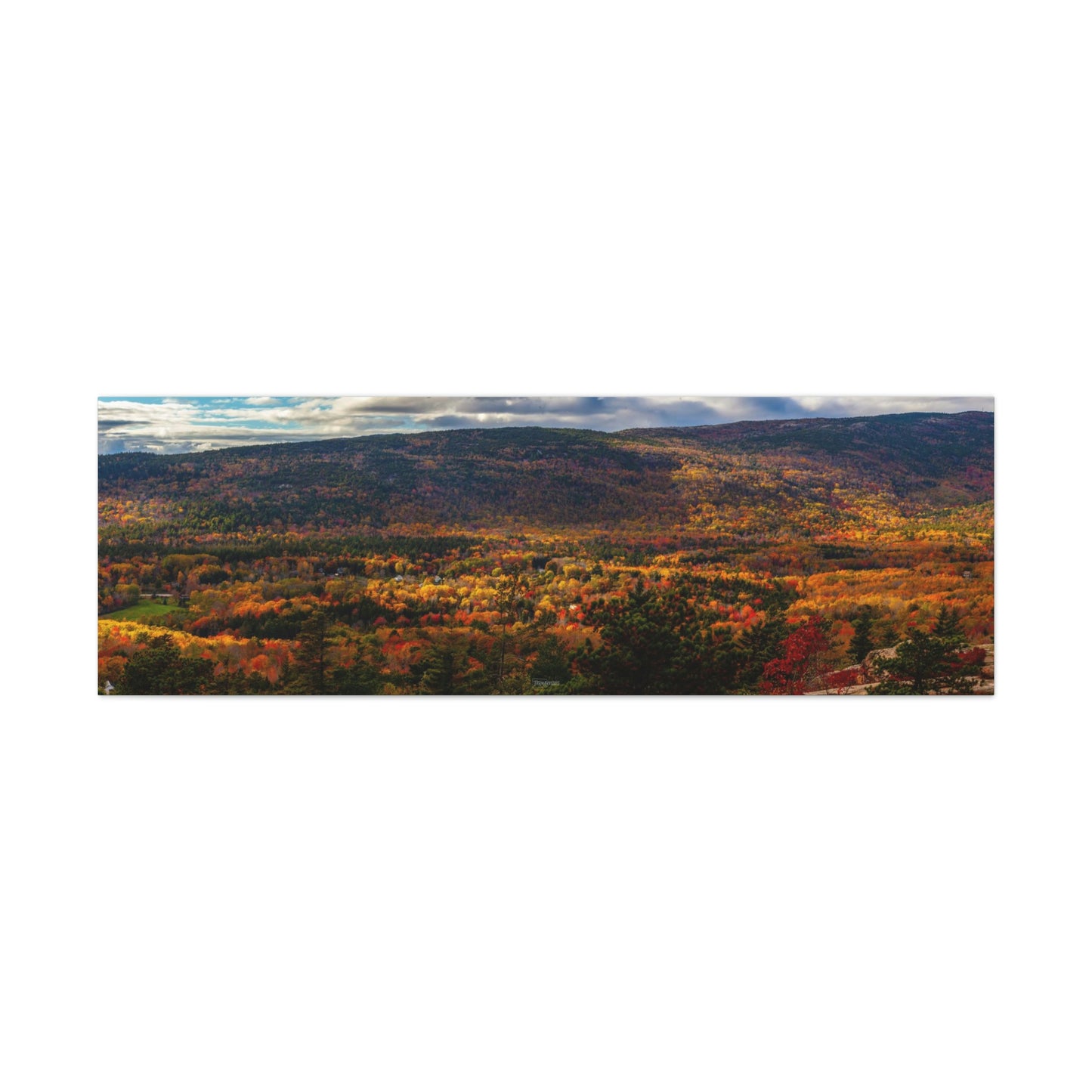 Acadia National Park: Fall Leaves - Canvas