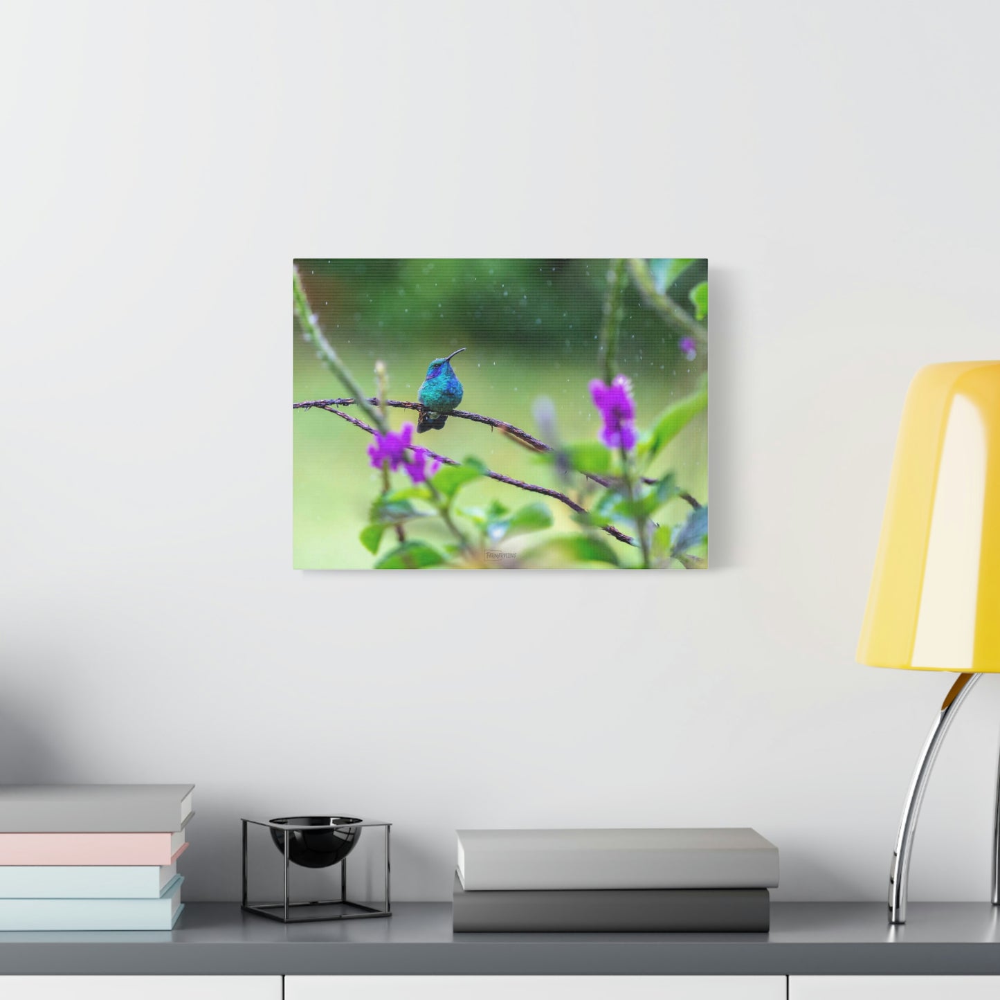 Costa Rican Hummingbird in the rain - Matte Canvas, Stretched, 1.25"