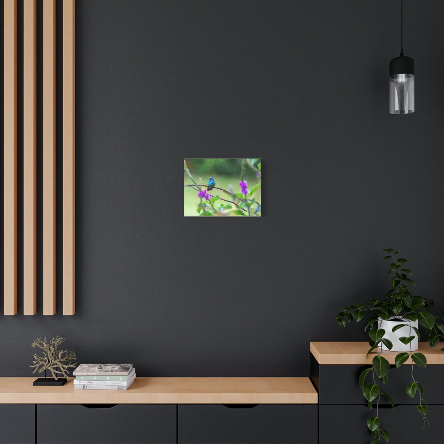 Costa Rican Hummingbird in the rain - Matte Canvas, Stretched, 1.25"