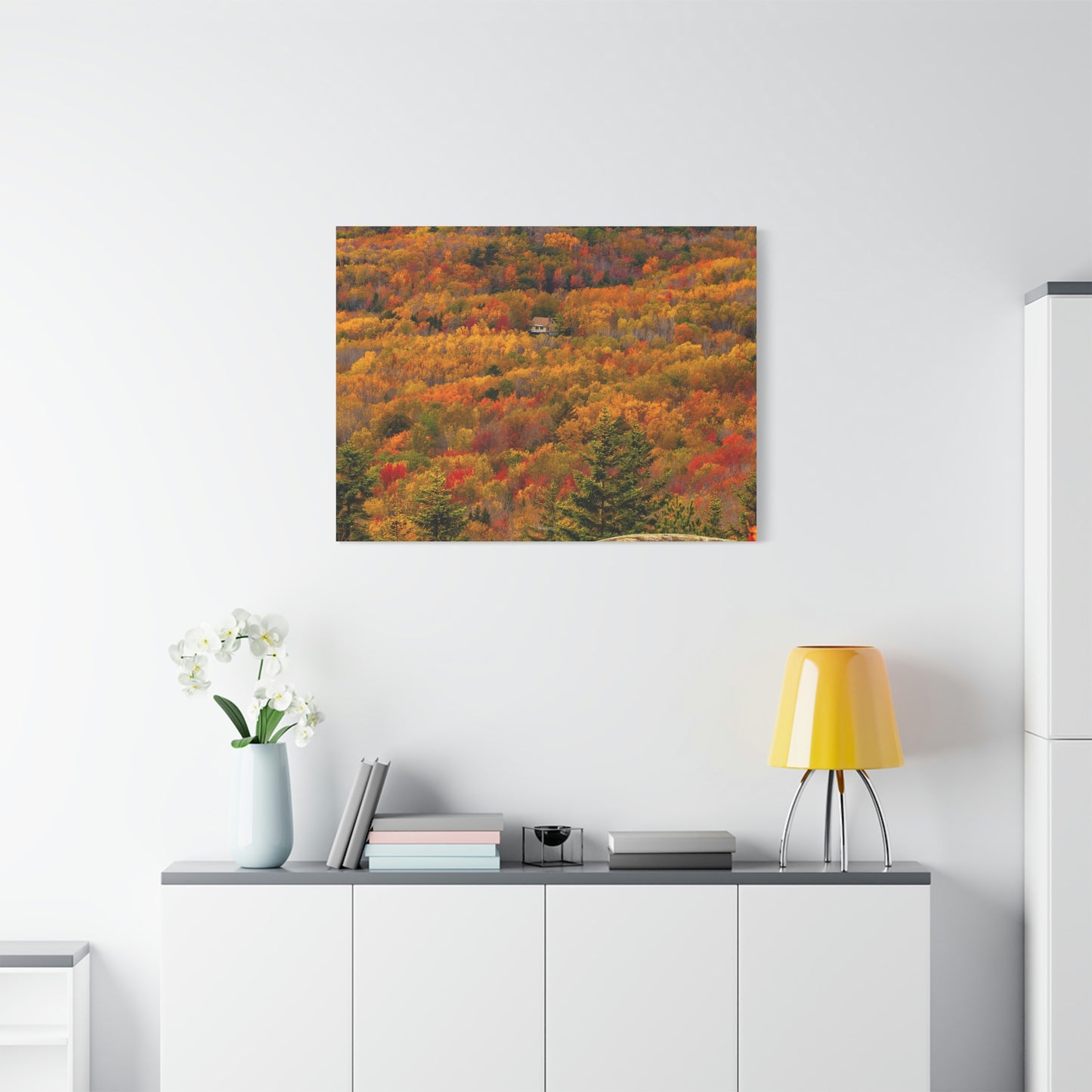 Fall in Acadia National Park - Matte Canvas