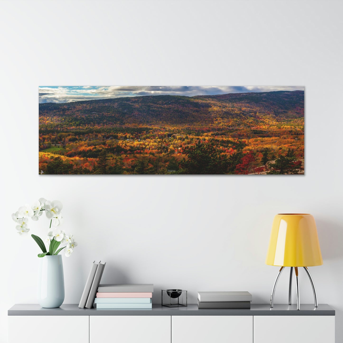 Acadia National Park: Fall Leaves - Canvas