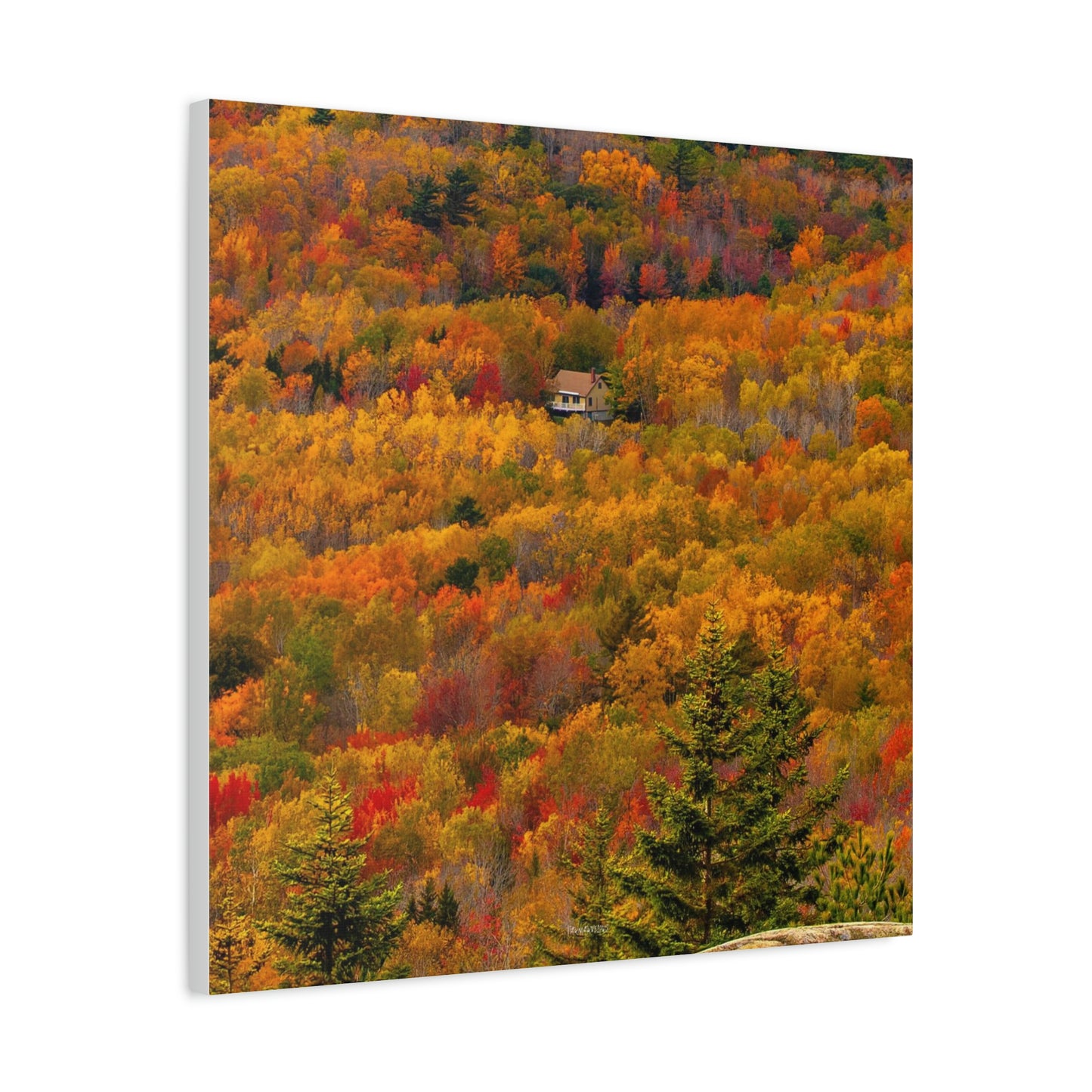 Fall in Acadia National Park - Matte Canvas
