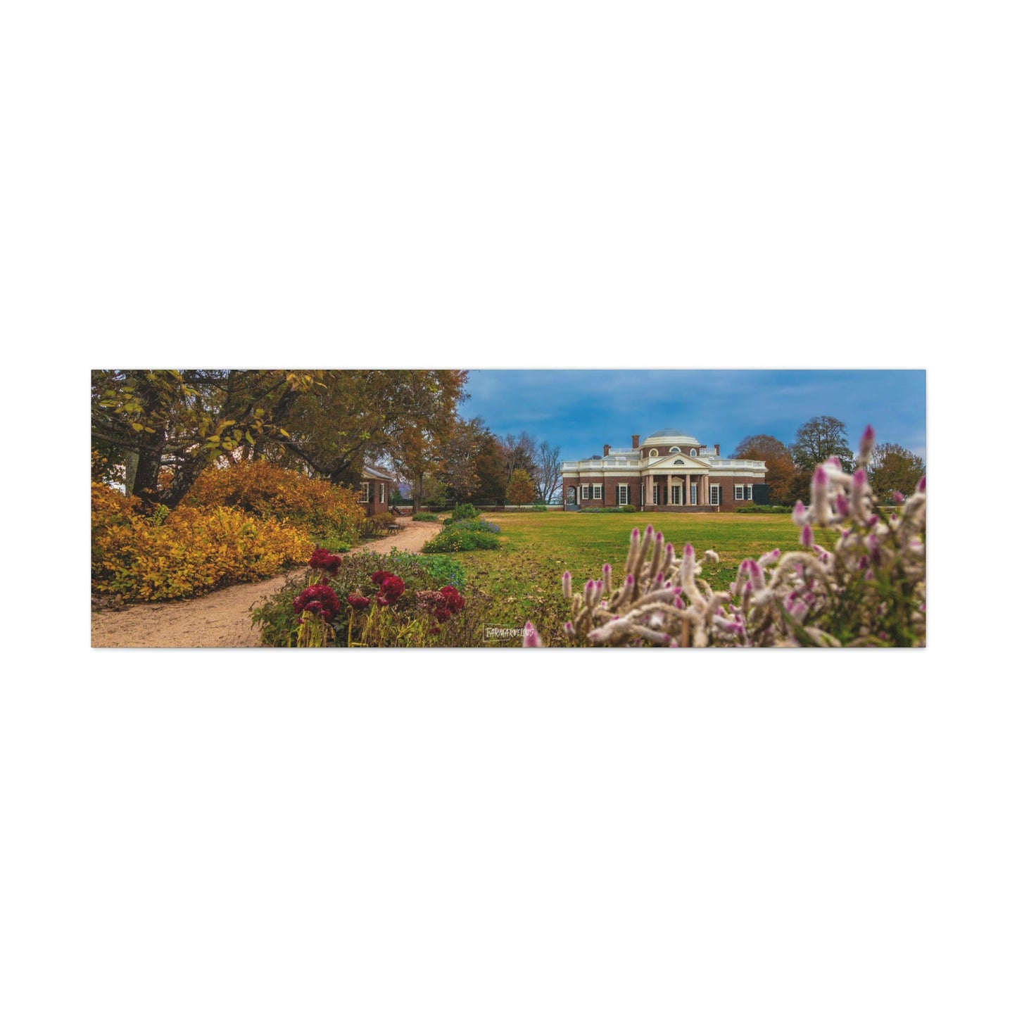 Monticello Flowers  - Canvas