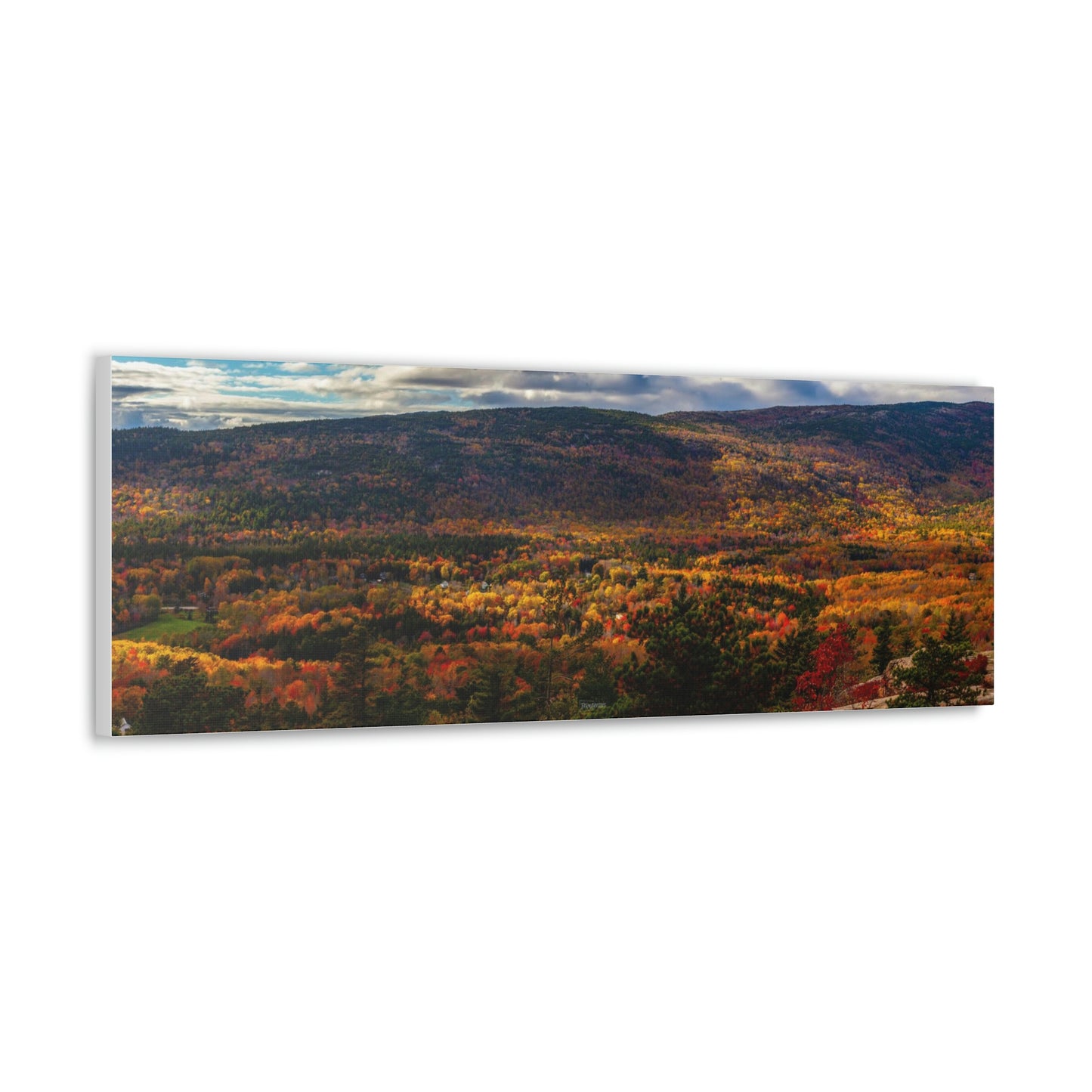 Acadia National Park: Fall Leaves - Canvas